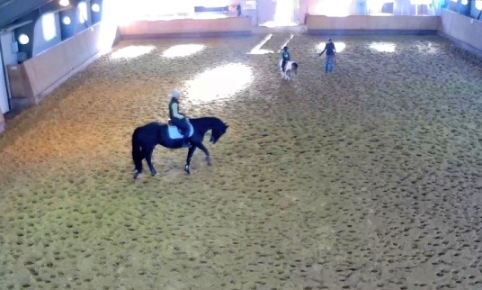 Equestrian club "Osinovaya Roscha"