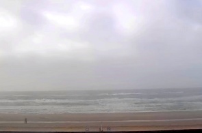 Henne Beach. Copenhagen Webcams