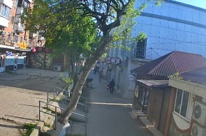 Pushkin Alley. Afipsky webcams online