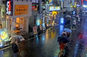 Kabukicho Shinjuku. Tokyo webcams online