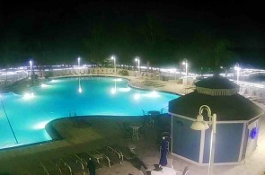 Blue Heron Beach Resort. Buena Vista Live Webcams