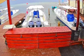 Roatan Divers Diving Club. Roatan Webcams Online