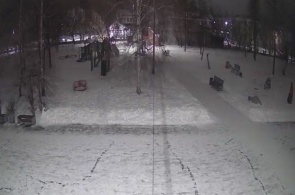 Upper Park. Usolye-Sibirskoye webcams online