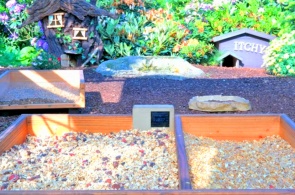 Bird and Wildlife Feeder. Recke Webcams