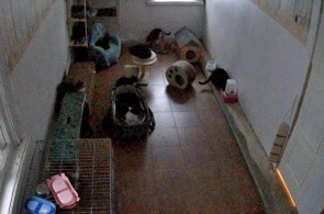 The animal shelter "Otrā Māja"