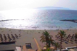 Playa de Troy. Webcams Las Americas online