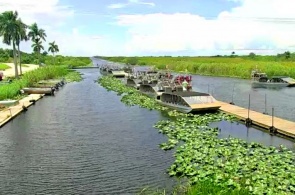 Everglades Holiday Park. Webcam Fort Lauderdale online