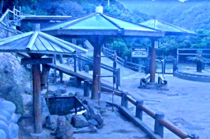 Monkey Center. Sumoto webcams online