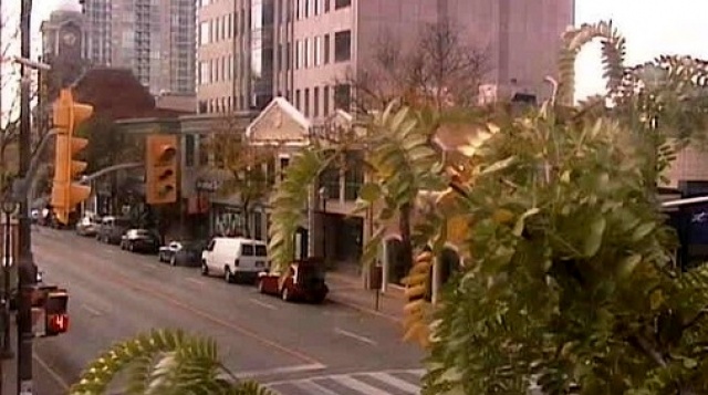 The intersection of Queen and Chapel street web Cam online