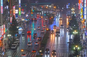 Kabukicho Crossing. Tokyo Webcams Online