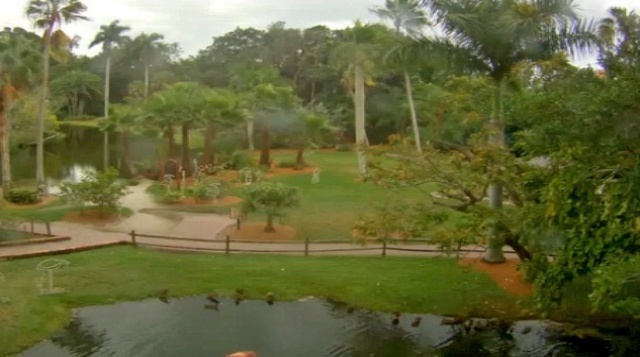 Sarasota Jungle gardens web Cam online