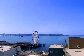 Waterfront Park Embankment. Seattle webcams online