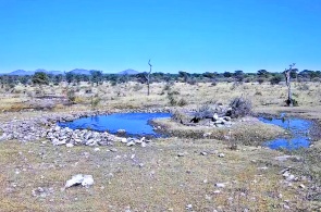 Watering hole in Kambaku Game Reserve. Grootfontein webcams