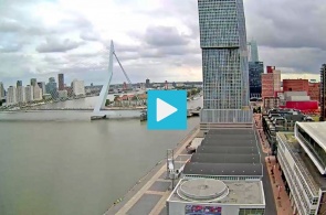 The Erasmus bridge, South shore. Webcams Rotterdam online
