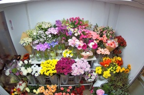 Flower shop Openwork. Webcams Barnaul