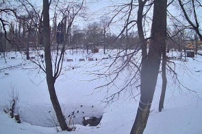 Petrovsky Park. Angle 3. Yelets webcams