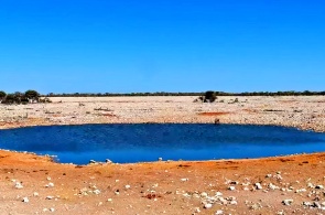 Watering hole in Etosha National Park. Outjo webcams