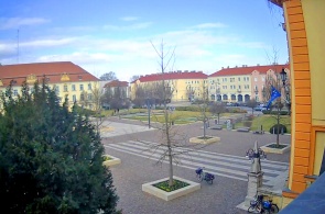 Freedom Square. Webcams with a mosquito online