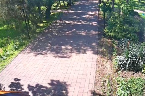Central Park. Georgievsk webcams online