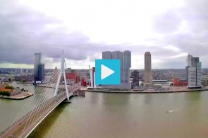 The Erasmus bridge, North shore. Webcams Rotterdam online