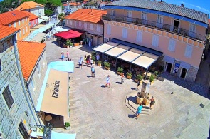 City center. Elsa webcams online