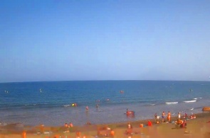 El Medano central beach. Webcams Tenerife online