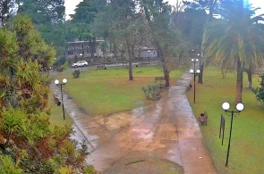 The park. Webcams Pitsunda