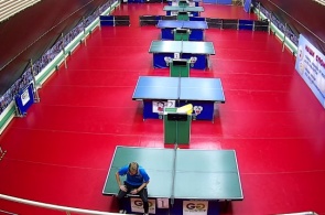 White Sail. Center of table tennis in Krasnodar online