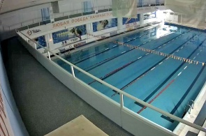 Swimming pool SK Crystal. Webcams Berdsk