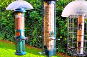 Bird feeders. Webcams Sheffield