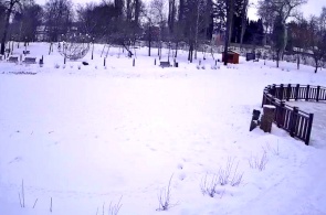 Petrovsky Park. Yelets webcams