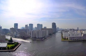 Koto. Tokyo webcams online