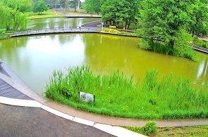 Lake Bicaz. Debrecen webcams online