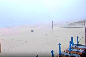 Sharkys restaurant beach. Panama City Beach webcams online