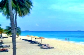 Beach on the island of Kuredu. Maldives webcams