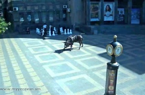 The Charles Aznavour Square. Yerevan web Cam online