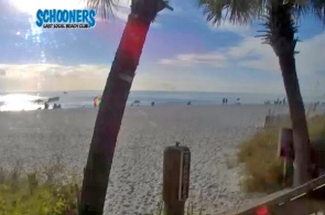 Schooners beach club Panama city beach Florida web camera online