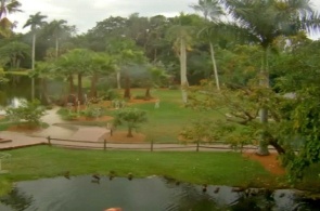 Sarasota Jungle gardens web Cam online
