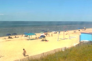 Virginia beach web camera online