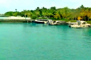 Port of Amilla Fushi. Maldives webcams