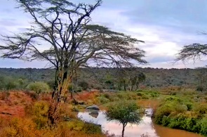 River in Africa. Laikipia webcams
