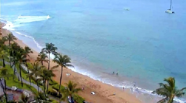 The Westin Maui Resort & Spa webcam online