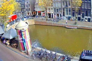 Red light district. Webcams Amsterdam