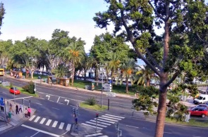 M.A.R. Crosswalk. Webcams Madeira