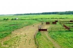 Midewin National Tallgrass Prairie. Webcam Chicago online