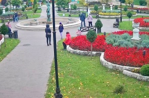 Park Flower Garden. Flowerbed. Webcams Pyatigorsk