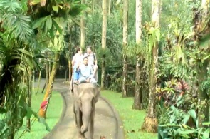 Elephant Park. Webcam Bali online