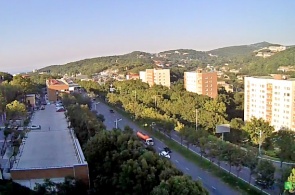 Factory Zarya. Vladivostok webcam online