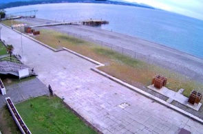 The city's waterfront. Pitsunda webcams online