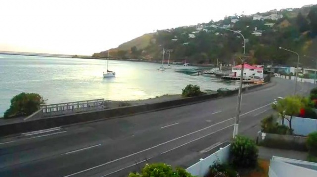 Auckland in real time